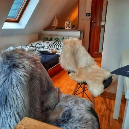 Czajka - Widokowe Appartement *