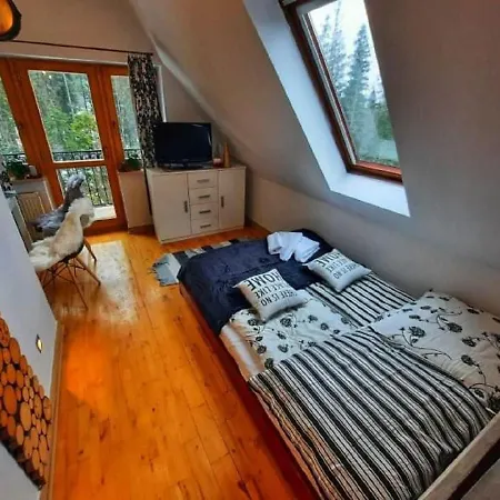 Апартаменты Czajka - Widokowe *