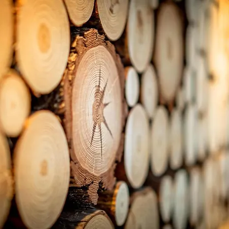 Czajka - Widokowe Апартаменты *